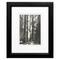 Timeless Frames® Black & White Redwoods Founders Print Framed Wall Art